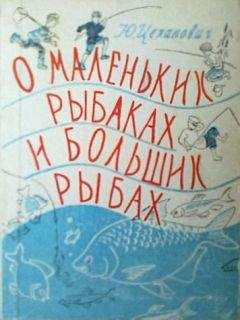 Читайте книги онлайн на Bookidrom.ru! Бесплатные книги в одном клике Юрий Цеханович - О маленьких рыбаках и больших рыбах