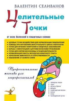 Читайте книги онлайн на Bookidrom.ru! Бесплатные книги в одном клике Валентин Селиванов - Целительные точки от всех болезней в пошаговых схемах