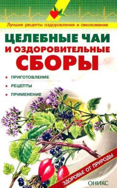 Читайте книги онлайн на Bookidrom.ru! Бесплатные книги в одном клике Валентина Рыженко - Целебные чаи и оздоровительные сборы