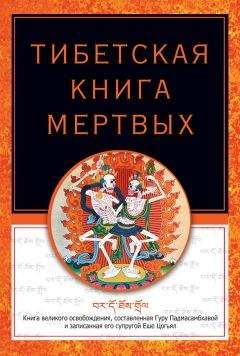 Читайте книги онлайн на Bookidrom.ru! Бесплатные книги в одном клике Роберт Турман - Тибетская книга мертвых