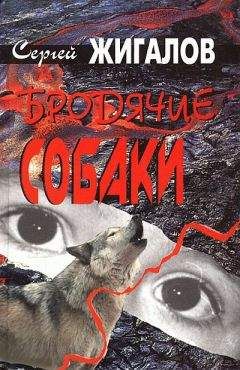 Читайте книги онлайн на Bookidrom.ru! Бесплатные книги в одном клике Сергей Жигалов - Бродячие собаки