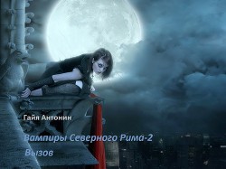 Читайте книги онлайн на Bookidrom.ru! Бесплатные книги в одном клике Вызов (СИ) - Антонин Гайя