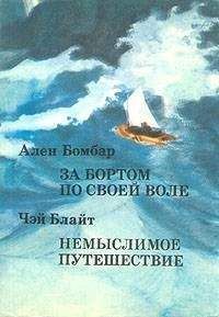 Читайте книги онлайн на Bookidrom.ru! Бесплатные книги в одном клике Чэй Блайт - Немыслимое путешествие