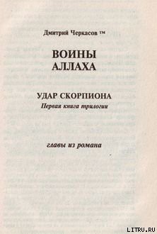 Читайте книги онлайн на Bookidrom.ru! Бесплатные книги в одном клике Воины аллаха. Удар скорпиона - Черкасов Дмитрий