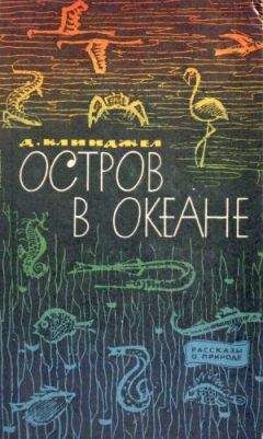 Читайте книги онлайн на Bookidrom.ru! Бесплатные книги в одном клике Гилберт Клинджел - Остров в океане
