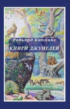 Читайте книги онлайн на Bookidrom.ru! Бесплатные книги в одном клике Редьярд Киплинг - Книги джунглей