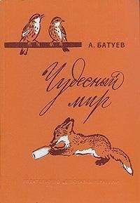 Читайте книги онлайн на Bookidrom.ru! Бесплатные книги в одном клике Андрей Батуев - Чудесный мир