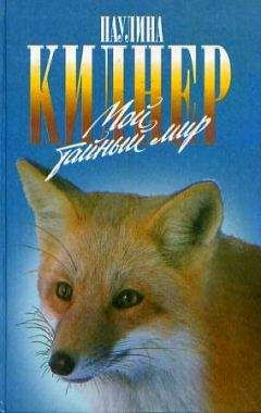 Читайте книги онлайн на Bookidrom.ru! Бесплатные книги в одном клике Паулина Киднер - Мой тайный мир