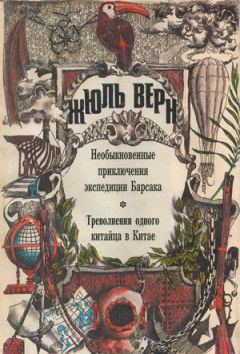 Читайте книги онлайн на Bookidrom.ru! Бесплатные книги в одном клике Жюль Верн - Треволнения одного китайца в Китае