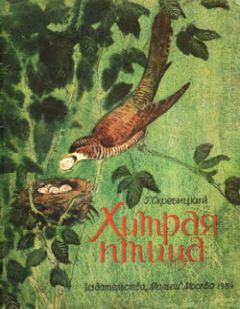 Читайте книги онлайн на Bookidrom.ru! Бесплатные книги в одном клике Георгий Скребицкий - Хитрая птица