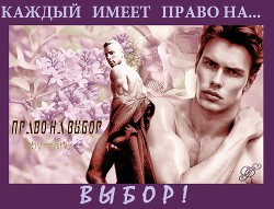 Читайте книги онлайн на Bookidrom.ru! Бесплатные книги в одном клике Право на выбор (СИ) - 