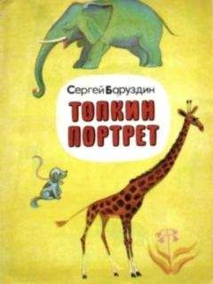Читайте книги онлайн на Bookidrom.ru! Бесплатные книги в одном клике Сергей Баруздин - Топкин портрет
