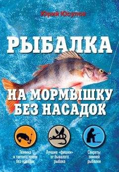 Читайте книги онлайн на Bookidrom.ru! Бесплатные книги в одном клике Юрий Юсупов - Рыбалка на мормышку без насадок