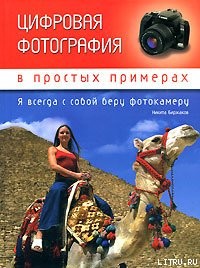 Читайте книги онлайн на Bookidrom.ru! Бесплатные книги в одном клике Цифровая фотография в простых примерах - Биржаков Никита Михайлович