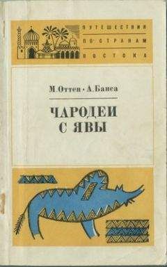 Читайте книги онлайн на Bookidrom.ru! Бесплатные книги в одном клике Мэрри Оттен - Чародеи с Явы