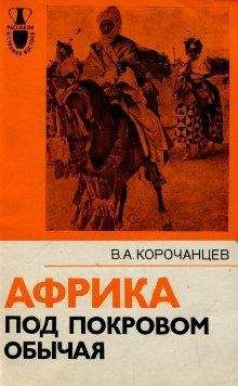 Читайте книги онлайн на Bookidrom.ru! Бесплатные книги в одном клике Владимир Корочанцев - Африка под покровом обычая