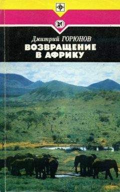 Читайте книги онлайн на Bookidrom.ru! Бесплатные книги в одном клике Дмитрий Горюнов - Возвращение в Африку