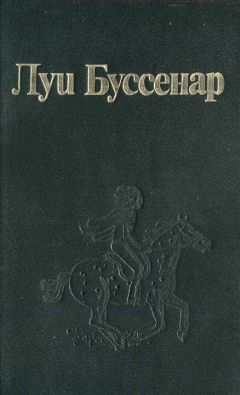 Читайте книги онлайн на Bookidrom.ru! Бесплатные книги в одном клике Луи Буссенар - Индианка и кайман