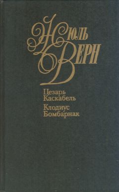 Читайте книги онлайн на Bookidrom.ru! Бесплатные книги в одном клике Жюль Верн - Цезарь Каскабель