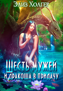 Читайте книги онлайн на Bookidrom.ru! Бесплатные книги в одном клике Шесть мужей и дракоша в придачу. Часть 2 (СИ) - Холгер Элиз