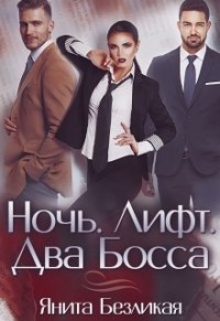 Читайте книги онлайн на Bookidrom.ru! Бесплатные книги в одном клике Ночь. Лифт. Два Босса (СИ) - Безликая Янита