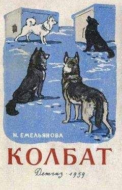 Читайте книги онлайн на Bookidrom.ru! Бесплатные книги в одном клике Нина Емельянова - Колбат