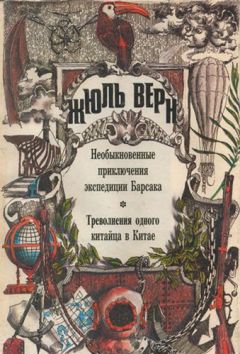 Читайте книги онлайн на Bookidrom.ru! Бесплатные книги в одном клике Жюль Верн - Треволнения одного китайца в Китае