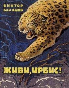 Читайте книги онлайн на Bookidrom.ru! Бесплатные книги в одном клике Виктор Балашов - Живи, ирбис!
