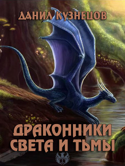 Читайте книги онлайн на Bookidrom.ru! Бесплатные книги в одном клике Драконники Света и Тьмы (СИ) - Кузнецов Данил Сергеевич