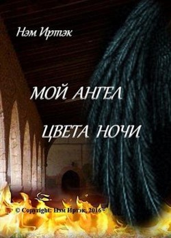 Читайте книги онлайн на Bookidrom.ru! Бесплатные книги в одном клике Мой ангел цвета ночи (СИ) - Нэм Иртэк