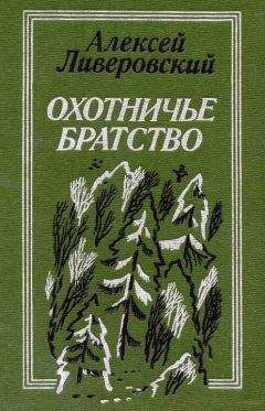 Читайте книги онлайн на Bookidrom.ru! Бесплатные книги в одном клике Алексей Ливеровский - Охотничье братство