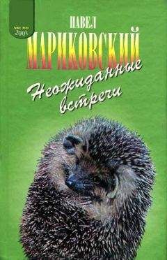 Читайте книги онлайн на Bookidrom.ru! Бесплатные книги в одном клике Павел Мариковский - Неожиданные встречи