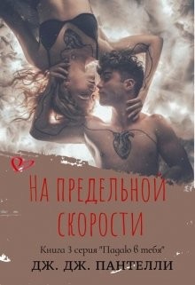Читайте книги онлайн на Bookidrom.ru! Бесплатные книги в одном клике На предельной скорости (ЛП) - Ли Джессика