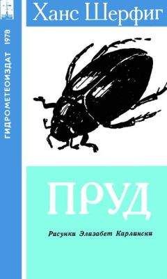 Читайте книги онлайн на Bookidrom.ru! Бесплатные книги в одном клике Ханс Шерфиг - Пруд