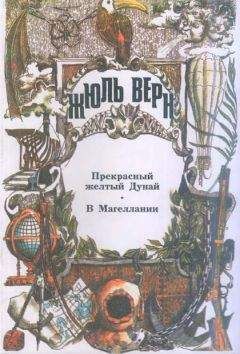 Читайте книги онлайн на Bookidrom.ru! Бесплатные книги в одном клике Жюль Верн - В Магеллании