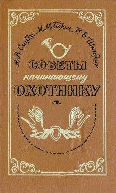 Читайте книги онлайн на Bookidrom.ru! Бесплатные книги в одном клике Алексей Сицко - Советы начинающему охотнику