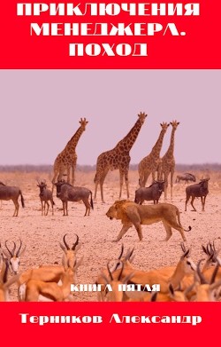 Читайте книги онлайн на Bookidrom.ru! Бесплатные книги в одном клике Приключения менеджера. Поход (СИ) - Терников Александр Николаевич