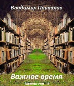 Читайте книги онлайн на Bookidrom.ru! Бесплатные книги в одном клике Важное время (СИ) - Привалов Владимир