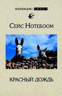 Читайте книги онлайн на Bookidrom.ru! Бесплатные книги в одном клике Сейс Нотебоом - Красный дождь