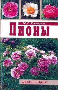 Читайте книги онлайн на Bookidrom.ru! Бесплатные книги в одном клике Марианна Успенская - Пионы