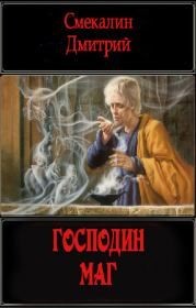 Читайте книги онлайн на Bookidrom.ru! Бесплатные книги в одном клике Господин маг (СИ) - Смекалин Дмитрий