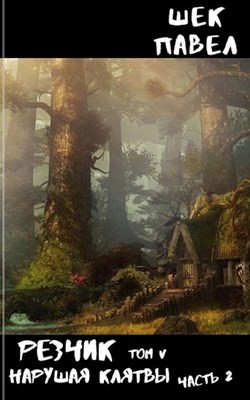 Читайте книги онлайн на Bookidrom.ru! Бесплатные книги в одном клике Нарушая клятвы. Том 2 (СИ) - Шек Павел Александрович