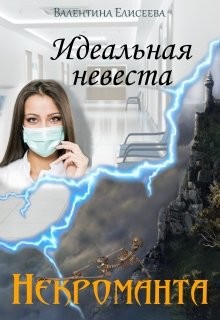 Идеальная невеста некроманта (СИ) - Елисеева Валентина