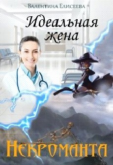 Читайте книги онлайн на Bookidrom.ru! Бесплатные книги в одном клике Идеальная жена некроманта (СИ) - Елисеева Валентина