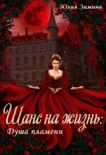 Читайте книги онлайн на Bookidrom.ru! Бесплатные книги в одном клике Шанс на жизнь: Душа пламени (СИ) - Зимина Юлия