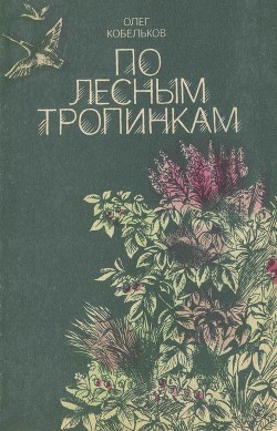 Читайте книги онлайн на Bookidrom.ru! Бесплатные книги в одном клике По лесным тропинкам(Рассказы и сказки) - Кобельков Олег Константинович