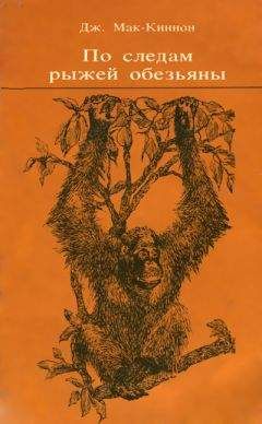 Читайте книги онлайн на Bookidrom.ru! Бесплатные книги в одном клике Джон Мак-Киннон - По следам рыжей обезьяны