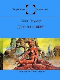 Читайте книги онлайн на Bookidrom.ru! Бесплатные книги в одном клике Дом в ноябре - Лаумер Кейт