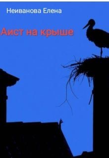 Читайте книги онлайн на Bookidrom.ru! Бесплатные книги в одном клике Аист на крыше (СИ) - 