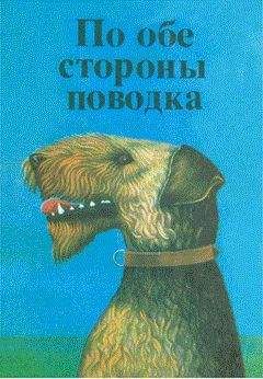 Читайте книги онлайн на Bookidrom.ru! Бесплатные книги в одном клике Джеймс Турбер - Собака, которая кусала людей